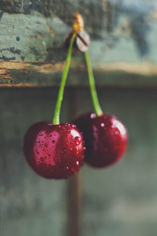 сочная вишня