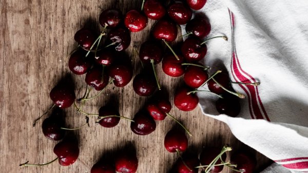 вишня черная морель