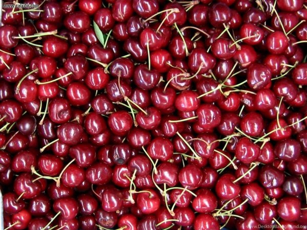 вишня ягода