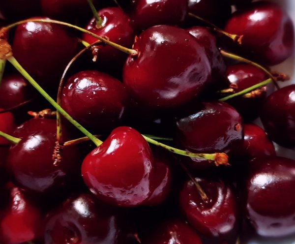 большая черешня