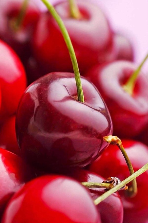 красная вишня