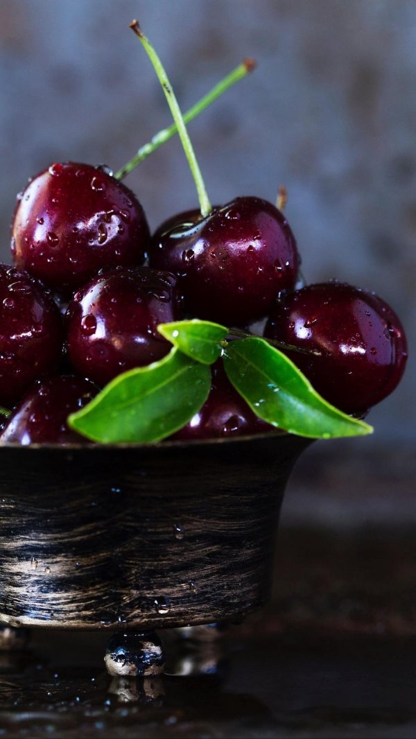 вишня шоколадница