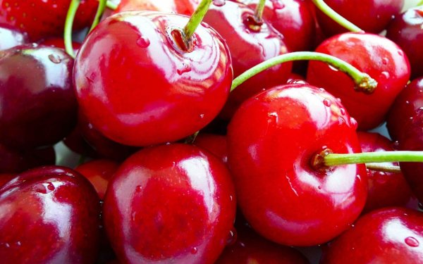 красная черешня