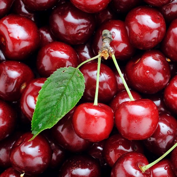 красная черешня