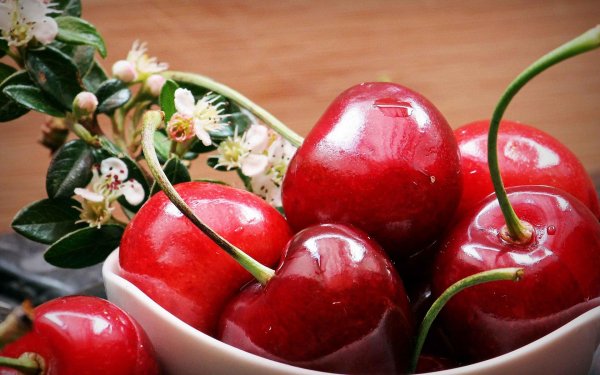 вишня ягода