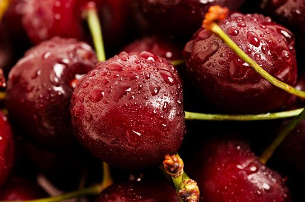 сочная вишня