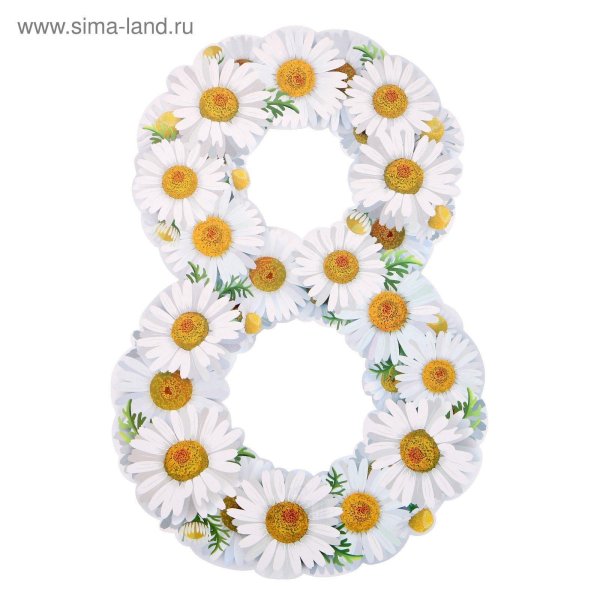 цифры из ромашек