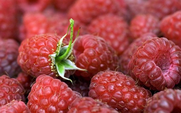 спелая малина