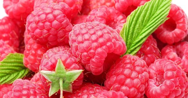 сочная малина