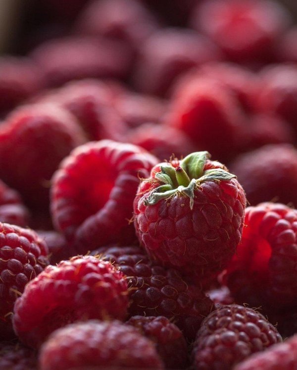 сочная малина