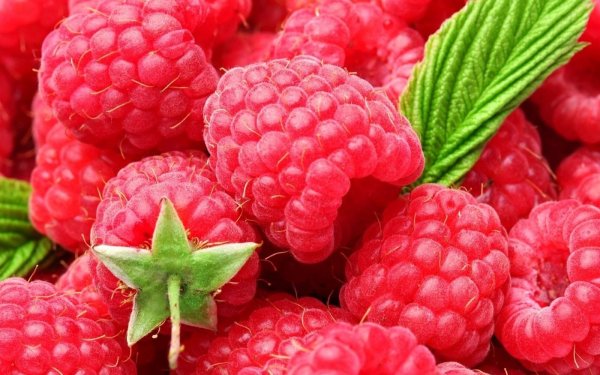 сочная малина