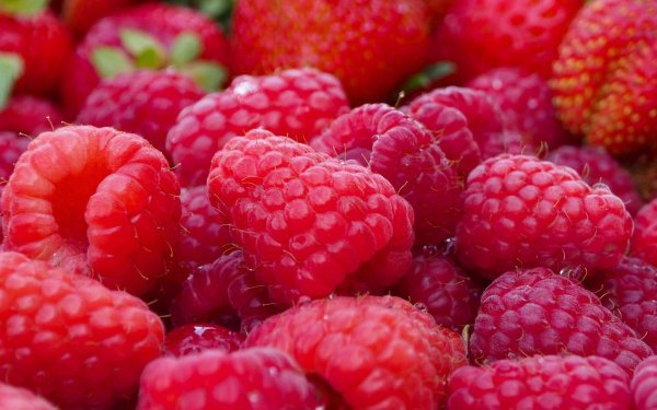 сочная малина