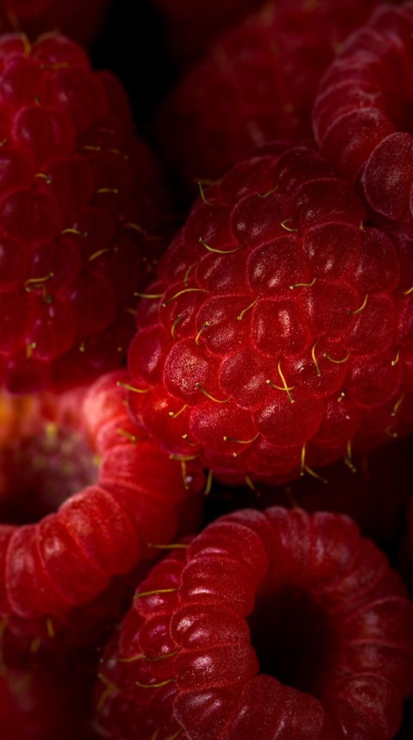 малина крупная