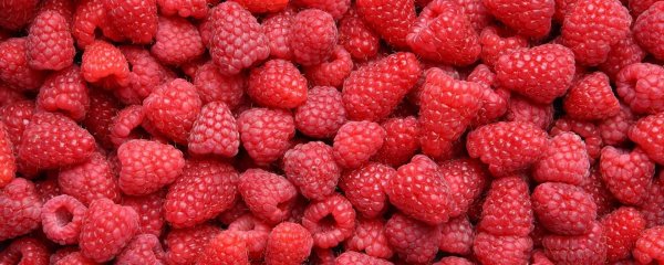 красная малина