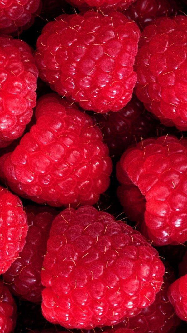 красная малина