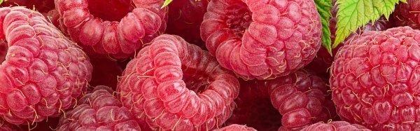 спелая малина