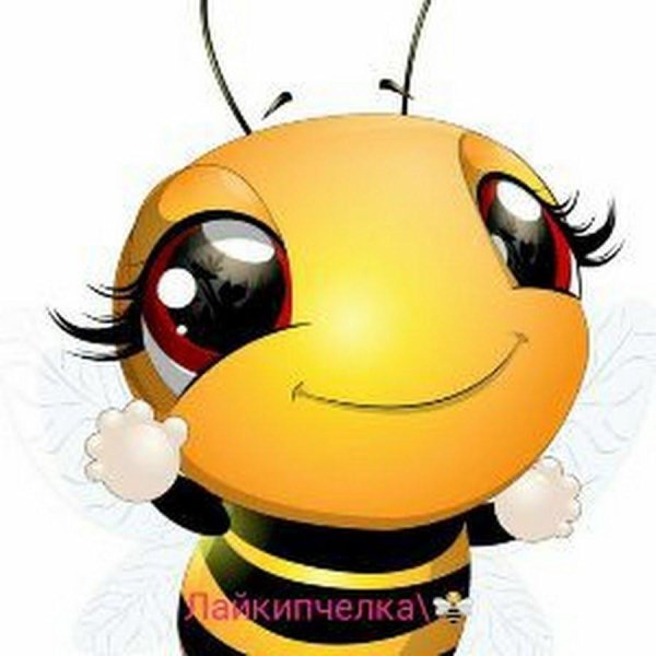 милая пчела