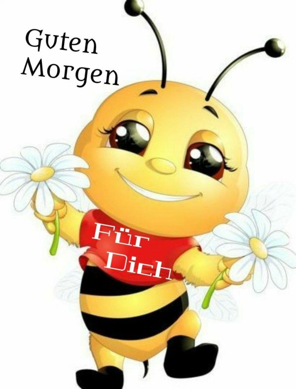 guten morgen sonnenschein