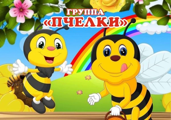 группа 5 пчелки