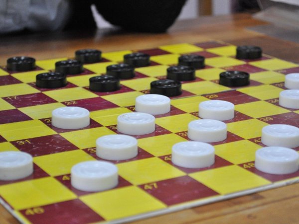 шашки турнир