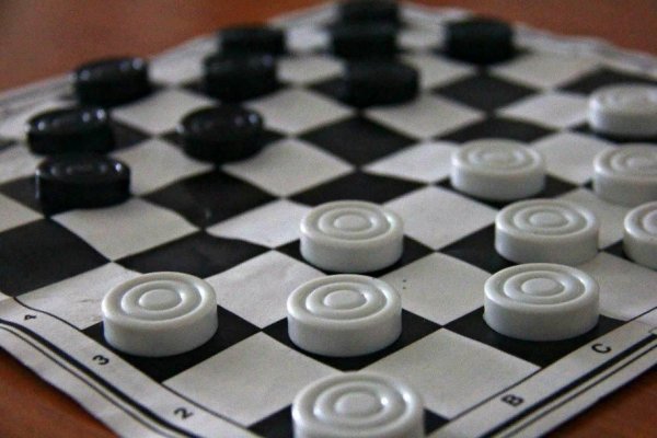 литвинович шашки