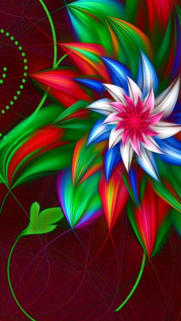 красивые яркие цветы