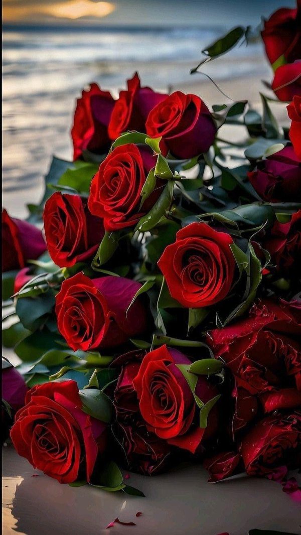 розы шикарный букет