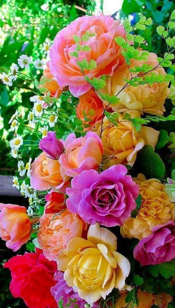 чудесные цветы