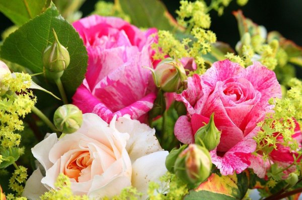 Супер с цветами