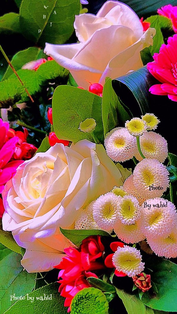 цветок красивый