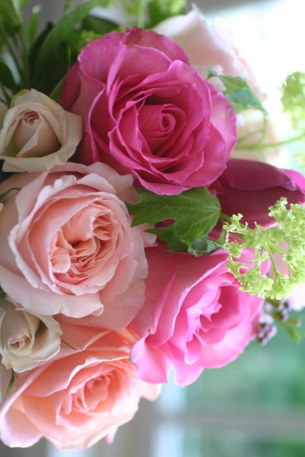 букет роз красивый