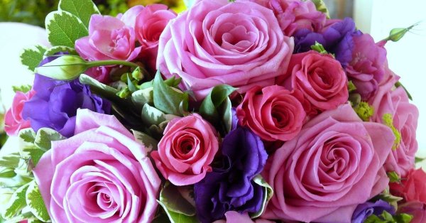 шикарные букеты цветов