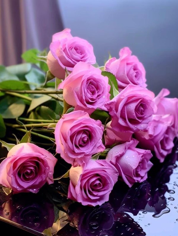 розовая роза