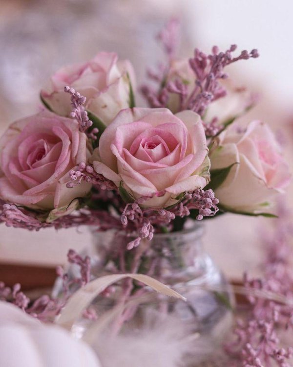 букет красивый цветов