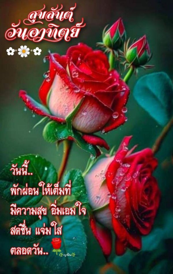 красивая цветок