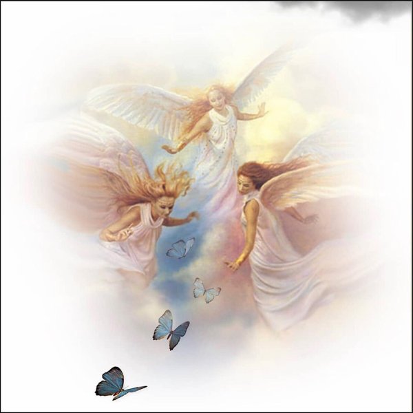 светлые ангелы