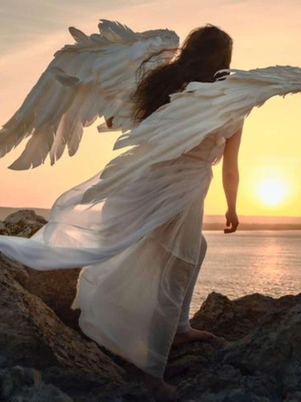 крыло ангела