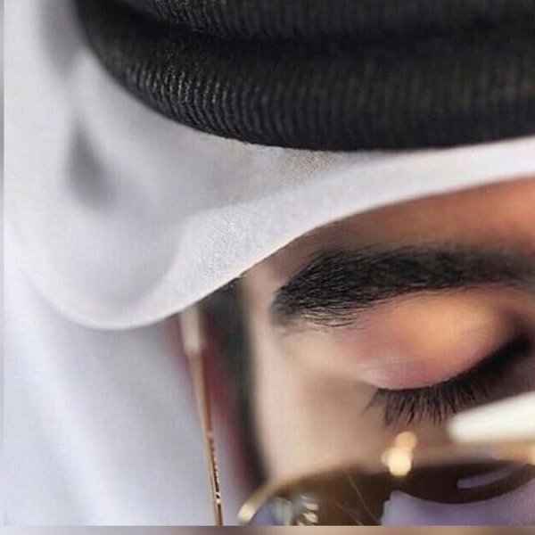 sheikh hamdan bin mohammed bin rashid al maktoum