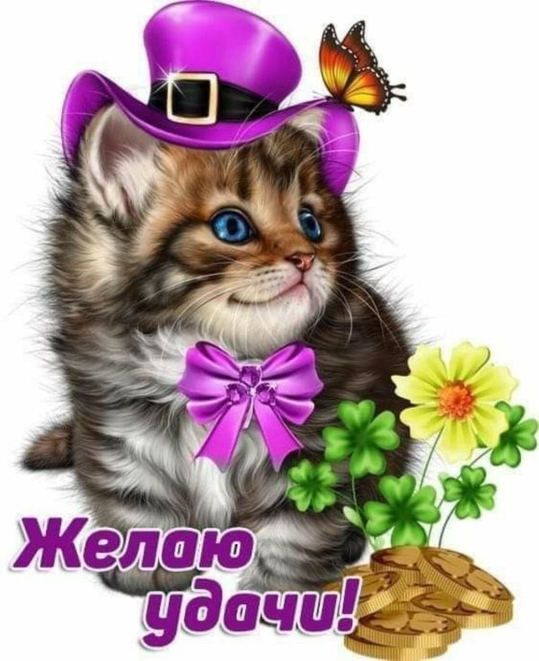 очаровательные котята