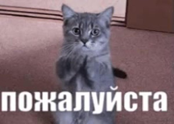 пожалуйста картинки прикольные