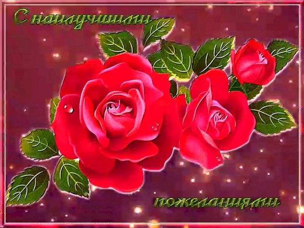 с наилучшими пожеланиями