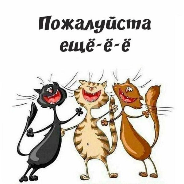 поющие коты