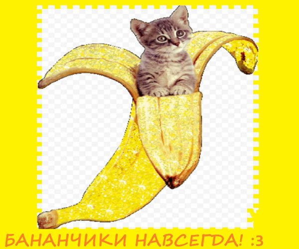 живой банан