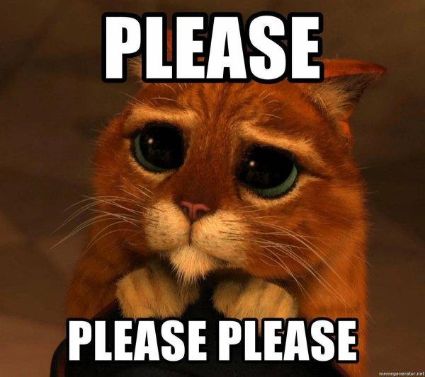 котик из шрека