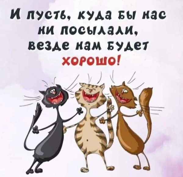 веселые высказывания