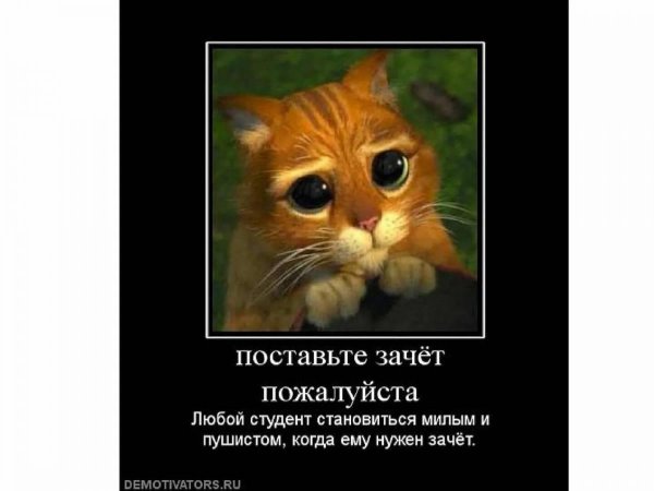 поставьте зачет