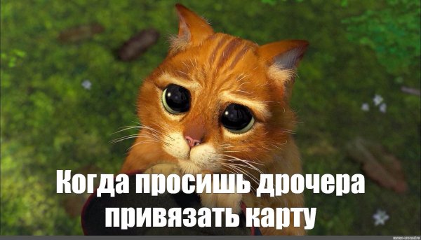 Всегда пожалуйста