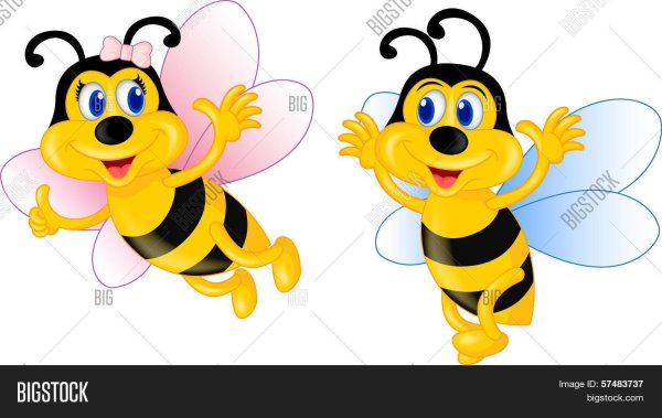 пчелки для детей цветные