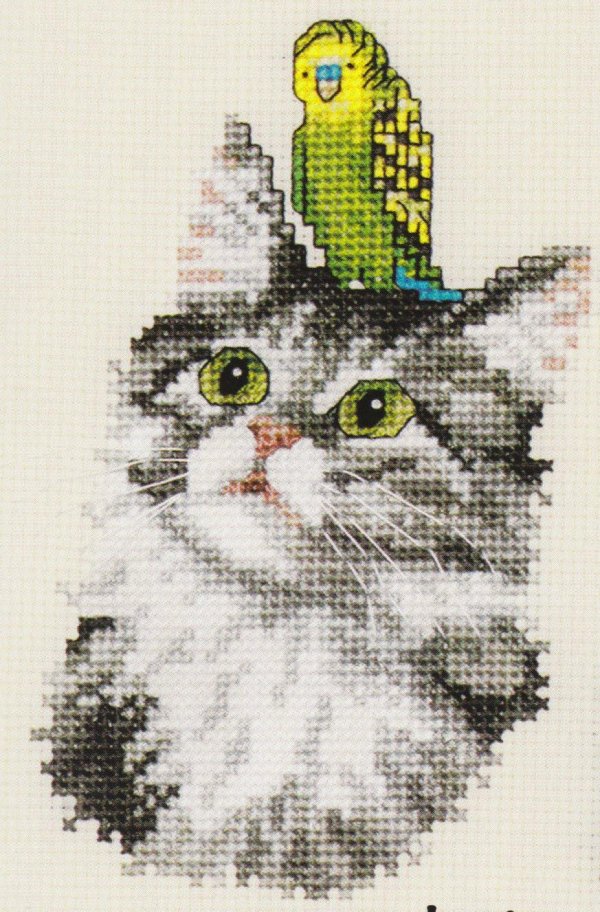 вышивка кот