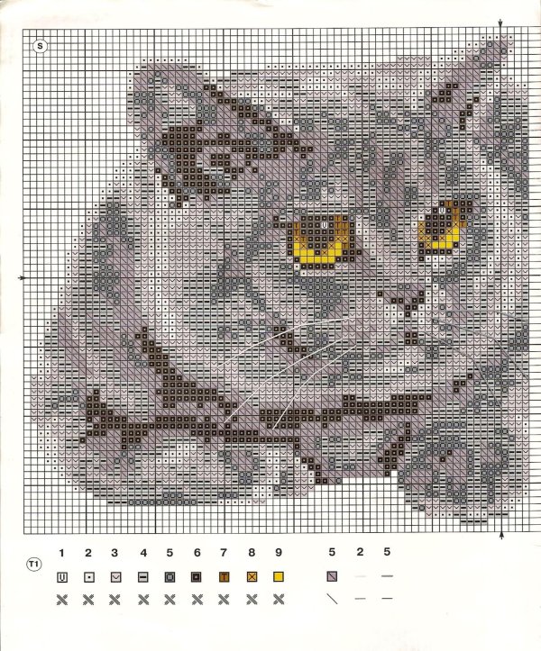 Коты нарисованные